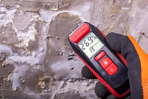 Best Home Mold Removal  in St Joseph, IL