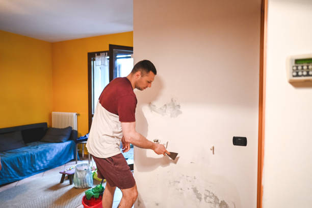 Best Same-Day Mold Removal  in St Joseph, IL